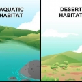 Disegnare una rete alimentare