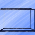Installazione di un acquario d'acqua dolce