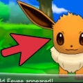 Eevee eevee in espeon o umbreon