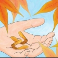 Semi d'acero in germinazione