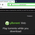 Scarica film con utorrent