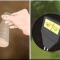 Fertilizzare gli alberi da frutto
