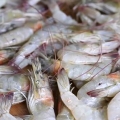 Gamberi alla griglia
