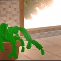 Prendersi cura di un membro cactus
