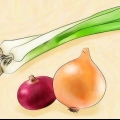 Cipolle verdi in crescita