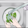 Preparare le foglie di guava per la perdita di peso