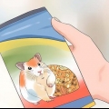 Dar da mangiare ai criceti