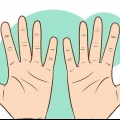Leggi le linee della mano