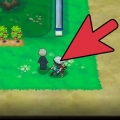 Allena l'ev del tuo pokémon