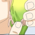 Determinazione del sesso di un piccioncino