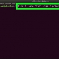Trovare il percorso di un file in unix