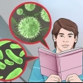 Conosci la differenza tra un batterio e un virus