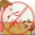 Addestrare i cani a non abbaiare