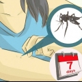 Prendersi cura di qualcuno con la dengue