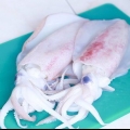 Cucinare i calamari