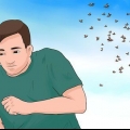Cura le punture di insetti