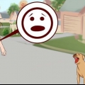 Superare la paura dei cani