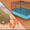 Rendere felice la tua cavia senza una seconda cavia