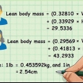 Determinare la tua massa secca