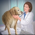 Aiutare il tuo cane dopo che ha partorito