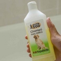 Fai in modo che il tuo cane abbia un odore migliore
