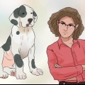 Addestra il tuo cane a non scappare