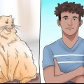 Impedisci al tuo gatto di mordere e graffiare