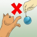 Proteggi il tuo albero di natale dai gatti