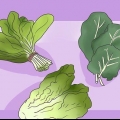 Dai da mangiare al tuo coniglio il giusto cibo verde