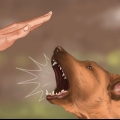Allevare il tuo cucciolo