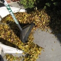 Pacciama il tuo giardino