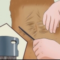 Diagnosi e cura dei problemi di pelle pruriginosa del tuo cane