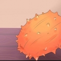 Mangiare kiwano