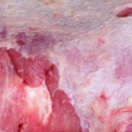 Bistecca affumicata