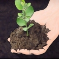 Miglioramento del terreno argilloso