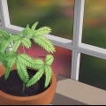 Herb-non .mescolare-