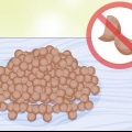 Lenticchie in crescita