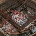 Marshmallow arrostiti