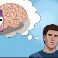 Prendendo la melatonina