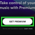 Scarica musica su spotify