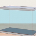 Prendersi cura dei neon tetra