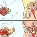 Fai esercizi per i muscoli del pavimento pelvico