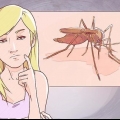 Distinguere tra malaria, dengue e chikungunya