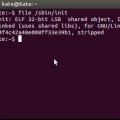 Installazione di oracle java jdk in ubuntu linux