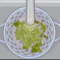 Usare l'origano in cucina