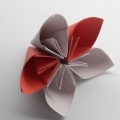 Origami pieghevoli