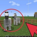 Allevare cavalli in minecraft