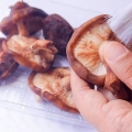 Funghi essiccati