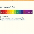 Leggi le strisce reattive per il ph