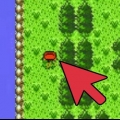 Evolvere pichu